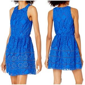 Blue Yunis by Greylin Grommet Lace Fit & Flare Knee Length Dress REVOLVE (small)